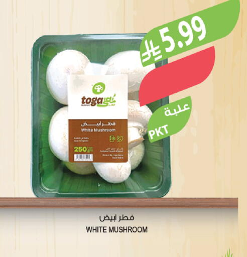 Mushroom available at المزرعة in مملكة العربية السعودية, السعودية, سعودية - الخبر‎