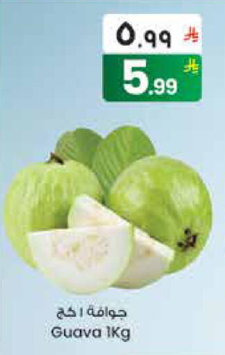 Guava available at City Flower in KSA, Saudi Arabia, Saudi - Hail