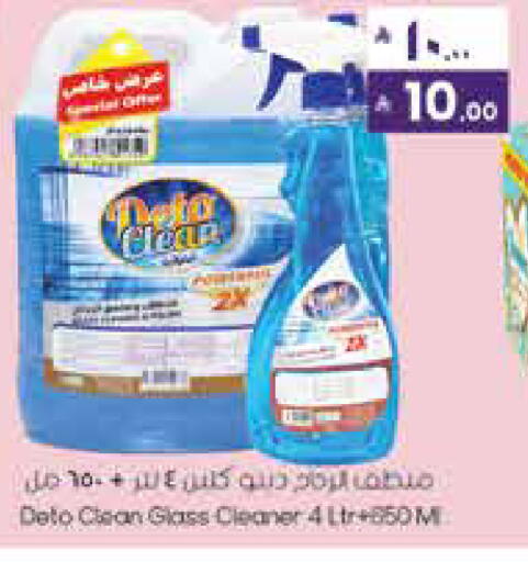 available at City Flower in KSA, Saudi Arabia, Saudi - Hail