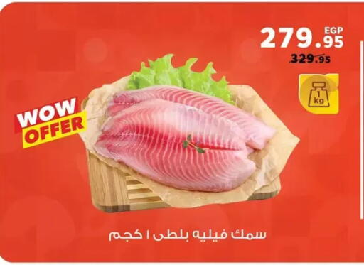 available at Panda  in Egypt - Cairo