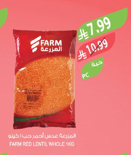 available at المزرعة in مملكة العربية السعودية, السعودية, سعودية - تبوك
