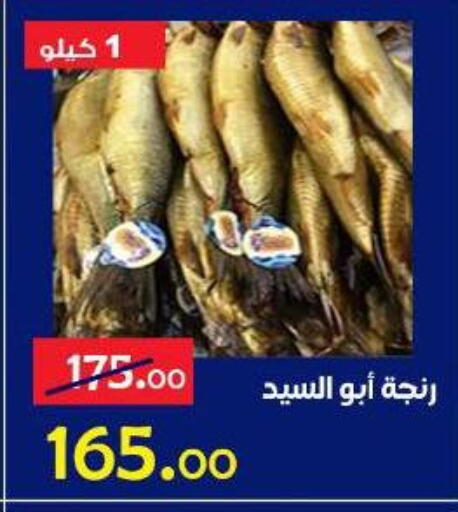 available at الدنيا بخير in Egypt - القاهرة