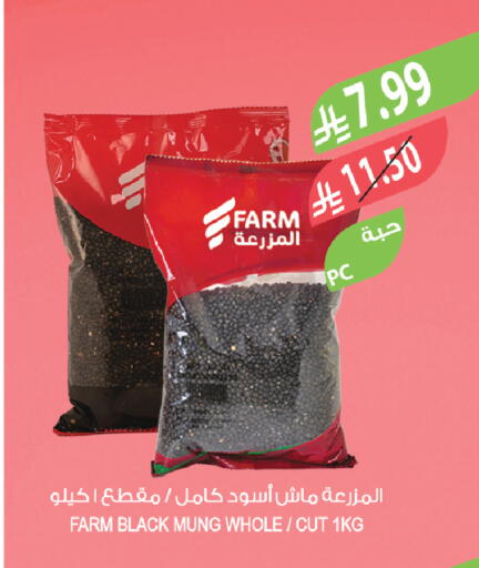 available at المزرعة in مملكة العربية السعودية, السعودية, سعودية - تبوك