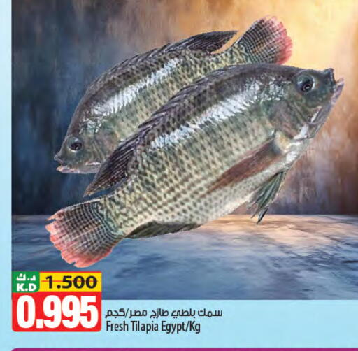 Mango available at مانجو هايبرماركت in الكويت - محافظة الأحمدي