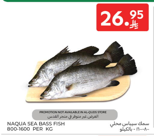 available at Carrefour in KSA, Saudi Arabia, Saudi - Jeddah