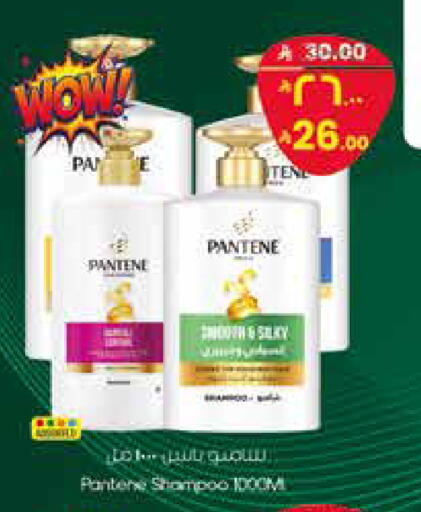 available at ستي فلاور in مملكة العربية السعودية, السعودية, سعودية - سكاكا