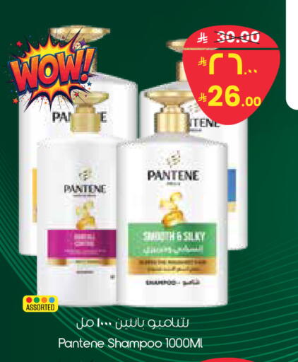 available at City Flower in KSA, Saudi Arabia, Saudi - Sakaka