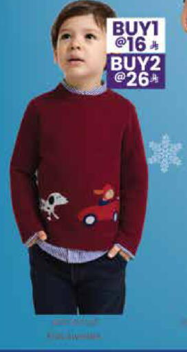 available at City Flower in KSA, Saudi Arabia, Saudi - Hail