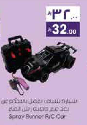 available at City Flower in KSA, Saudi Arabia, Saudi - Hail