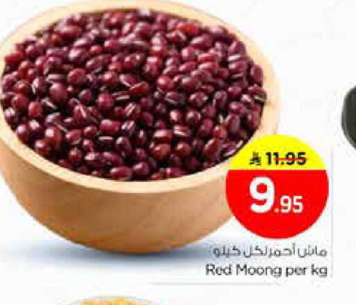 available at نستو in مملكة العربية السعودية, السعودية, سعودية - الخرج