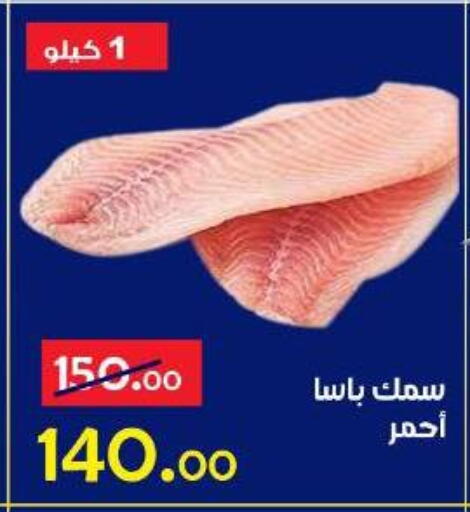 available at الدنيا بخير in Egypt - القاهرة