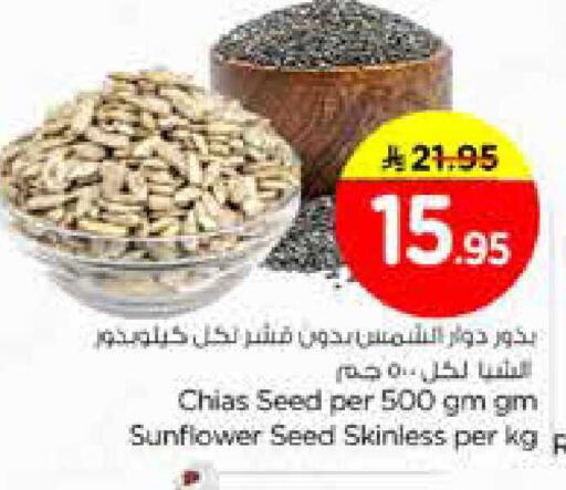 available at نستو in مملكة العربية السعودية, السعودية, سعودية - الخرج