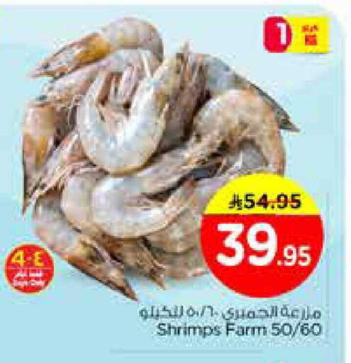 available at نستو in مملكة العربية السعودية, السعودية, سعودية - الخبر‎