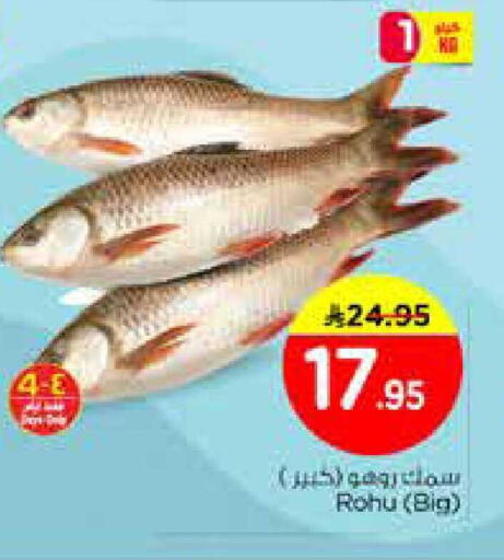 available at نستو in مملكة العربية السعودية, السعودية, سعودية - الخبر‎