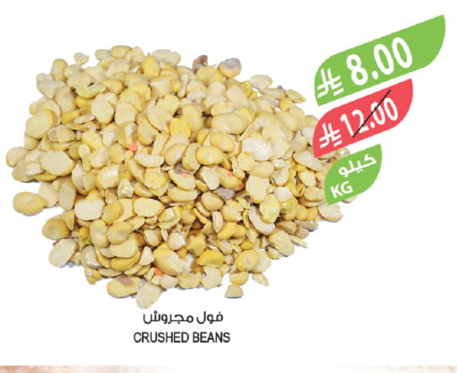 available at Farm  in KSA, Saudi Arabia, Saudi - Medina