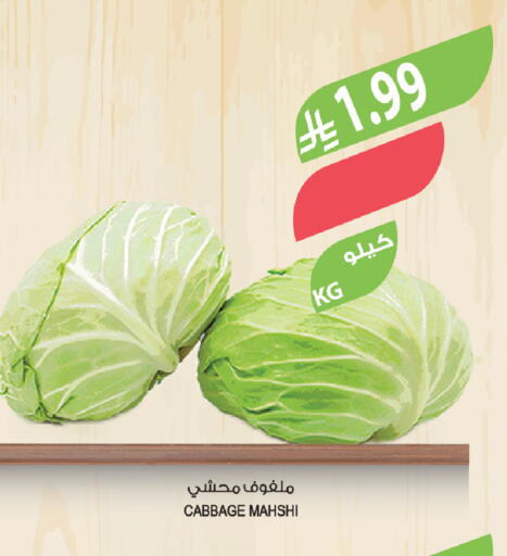 Cabbage available at المزرعة in مملكة العربية السعودية, السعودية, سعودية - الخبر‎