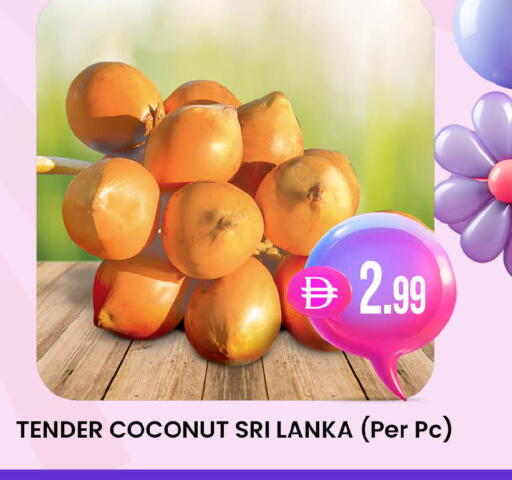 Coconut from Sri Lanka available at ك. الم. للتجارة in الإمارات العربية المتحدة , الامارات - ٱلْفُجَيْرَة‎