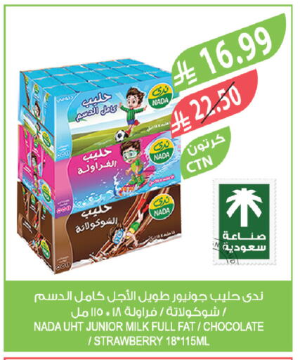 Strawberry available at Farm  in KSA, Saudi Arabia, Saudi - Sakaka