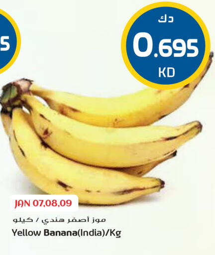 Banana from India available at Grand Hyper in Kuwait - Kuwait City