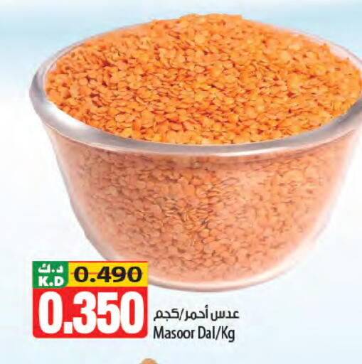 Mango available at Mango Hypermarket  in Kuwait - Kuwait City