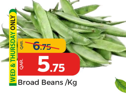 available at باريس هايبرماركت in قطر - الوكرة