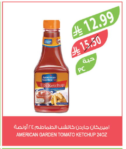 Tomato available at Farm  in KSA, Saudi Arabia, Saudi - Khamis Mushait