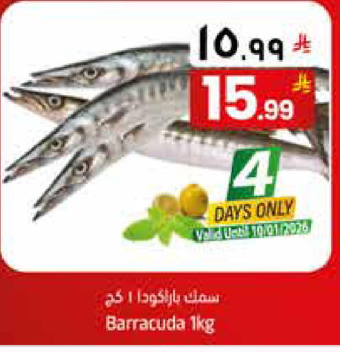 available at ستي فلاور in مملكة العربية السعودية, السعودية, سعودية - الجبيل‎