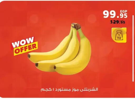 available at Panda  in Egypt - Cairo