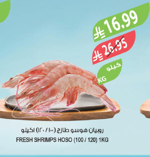 available at المزرعة in مملكة العربية السعودية, السعودية, سعودية - وادي الدواسر