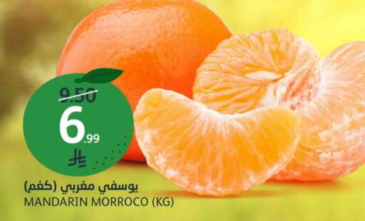 Mandarin available at مركز الجزيرة للتسوق in مملكة العربية السعودية, السعودية, سعودية - الرياض