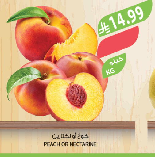 Peach Nectarine available at Farm  in KSA, Saudi Arabia, Saudi - Wadi ad Dawasir