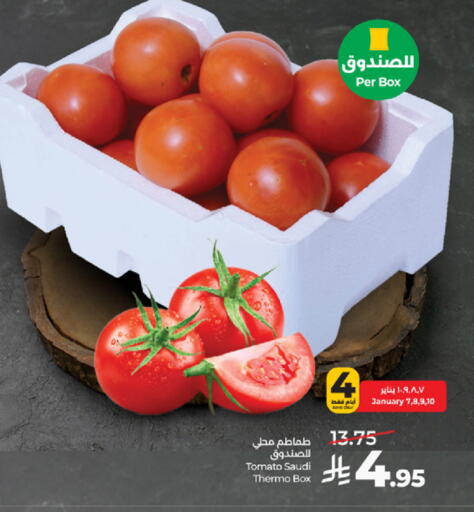 Tomato from Saudi Arabia available at LULU Hypermarket in KSA, Saudi Arabia, Saudi - Tabuk