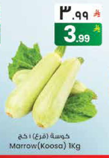 Marrow available at ستي فلاور in مملكة العربية السعودية, السعودية, سعودية - حائل‎