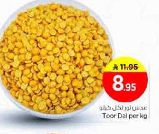 available at نستو in مملكة العربية السعودية, السعودية, سعودية - الخرج