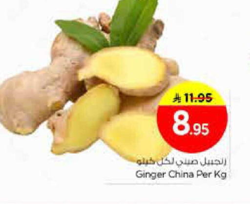 Ginger from China available at نستو in مملكة العربية السعودية, السعودية, سعودية - الخرج