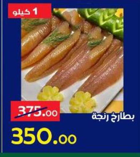 available at الدنيا بخير in Egypt - القاهرة