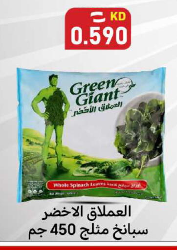 Spinach available at Meem Central Market Co in Kuwait - Ahmadi Governorate