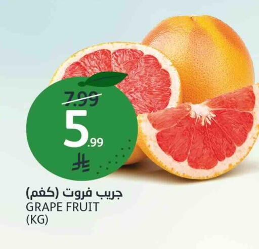 available at مركز الجزيرة للتسوق in مملكة العربية السعودية, السعودية, سعودية - الرياض