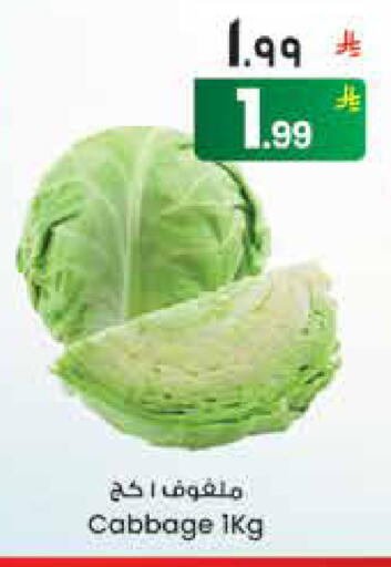 Cabbage available at City Flower in KSA, Saudi Arabia, Saudi - Hail