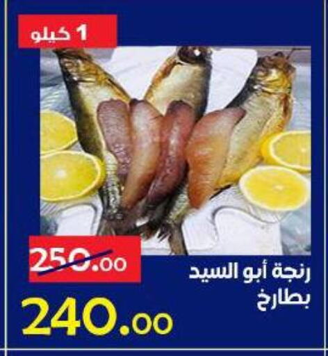 available at الدنيا بخير in Egypt - القاهرة