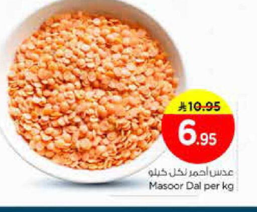 available at نستو in مملكة العربية السعودية, السعودية, سعودية - الخرج