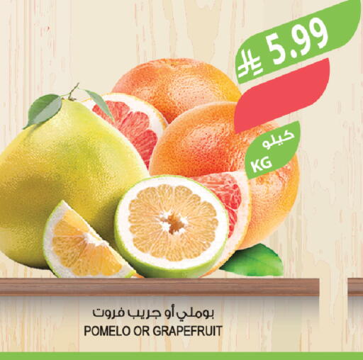 available at المزرعة in مملكة العربية السعودية, السعودية, سعودية - وادي الدواسر