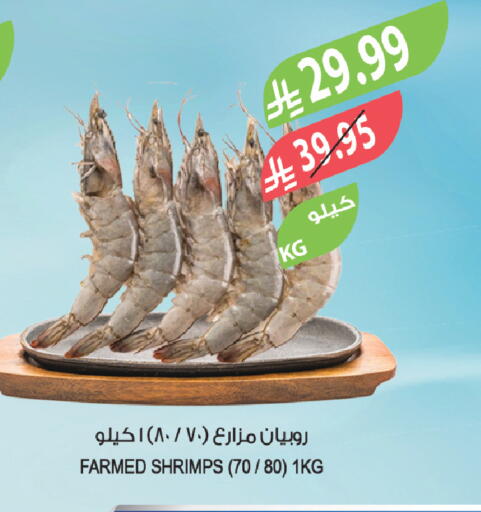 available at المزرعة in مملكة العربية السعودية, السعودية, سعودية - وادي الدواسر