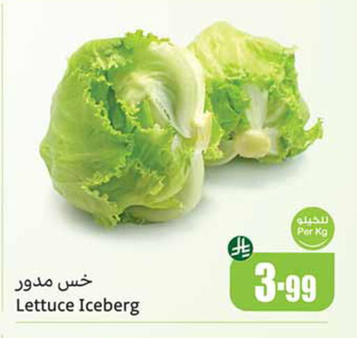 Lettuce available at Othaim Markets in KSA, Saudi Arabia, Saudi - Wadi ad Dawasir