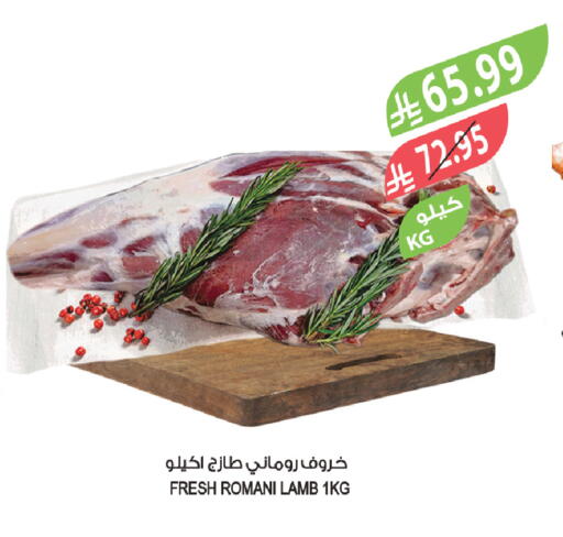 available at Farm  in KSA, Saudi Arabia, Saudi - Khamis Mushait