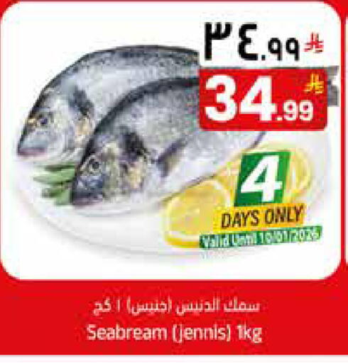 available at ستي فلاور in مملكة العربية السعودية, السعودية, سعودية - الجبيل‎