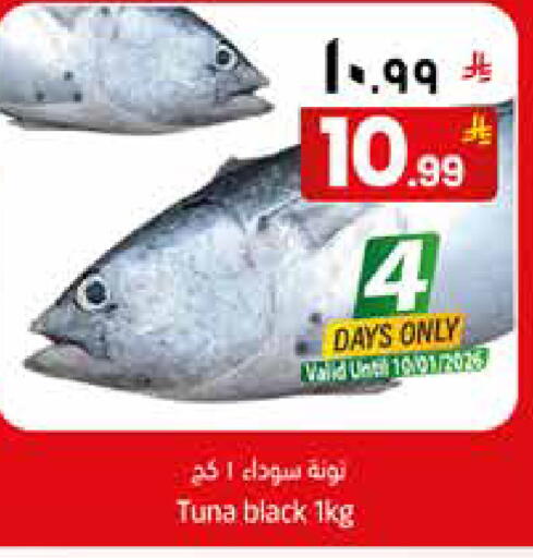 available at ستي فلاور in مملكة العربية السعودية, السعودية, سعودية - الجبيل‎