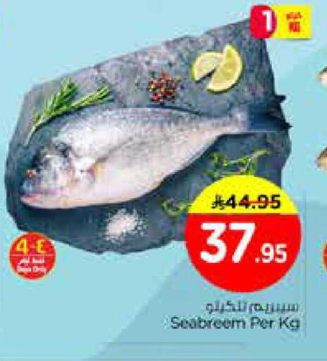 available at نستو in مملكة العربية السعودية, السعودية, سعودية - الخبر‎