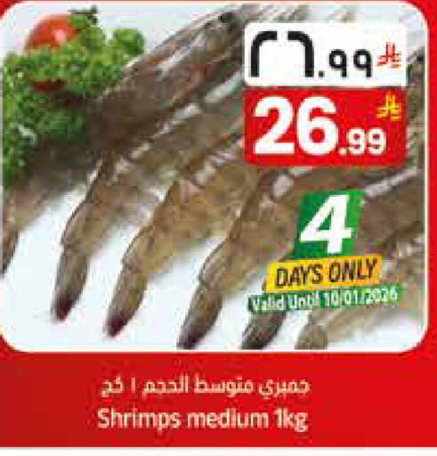 available at City Flower in KSA, Saudi Arabia, Saudi - Sakaka