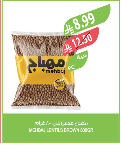 available at المزرعة in مملكة العربية السعودية, السعودية, سعودية - تبوك